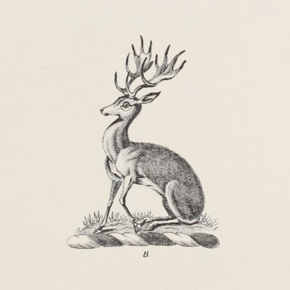 engraving_9